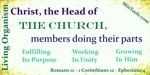 Church as Living Organism Has Organization