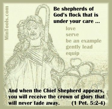 Shepherding In All We Do, Even Policy Making